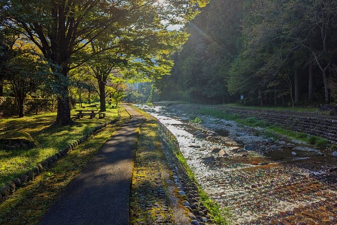 1-Day Tour from Takayama: Unveiling the Charm of Gero Onsen - Key points to know before booking