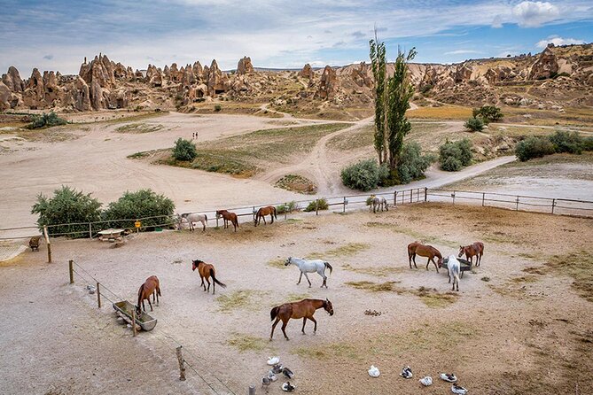 10-Days Istanbul, Ephesus, Pamukkale, Antalya & Cappadocia Tour - Pamukkale combines Roman ruins with thermal water