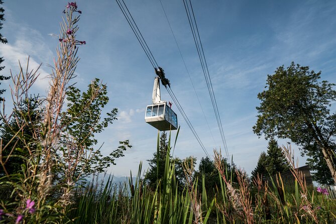 2-Day Mt Rigi Tour from Zurich Including Mineral Baths and Lake Lucerne Cruise - Down to Vitznau and across Lake Lucerne