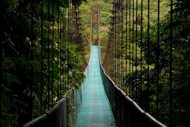 3 in 1 Combo: La Fortuna Waterfall, Hanging Bridges, Thermal Spa from San José - Key points to know before booking
