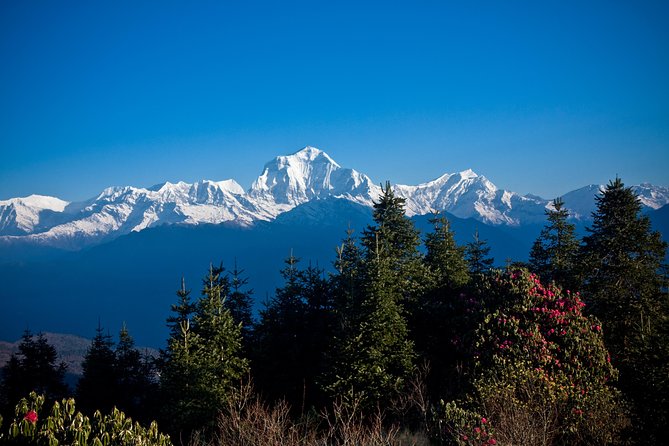 7 Days Annapurna Base Camp Trek from Pokhara with Hot Spring - Day 4: Machhapuchhare Base Camp and Annapurna Base Camp