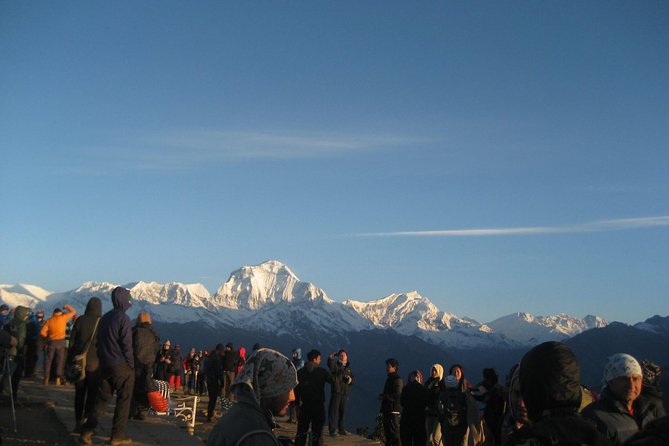 7 Days Annapurna Base Camp Trek from Pokhara with Hot Spring - Day 5: The long return to Bamboo