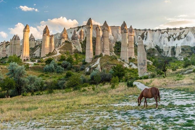 7 Days Turkey Tour Package: Istanbul, Cappadocia, Ephesus, Pamukkale - by Flight - Day 1: A soft landing in Istanbul