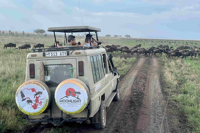 7Day Serengeti Migration (Ndutu), Crater, Hot Springs & City Tour - Day 1: A gentle start in Arusha