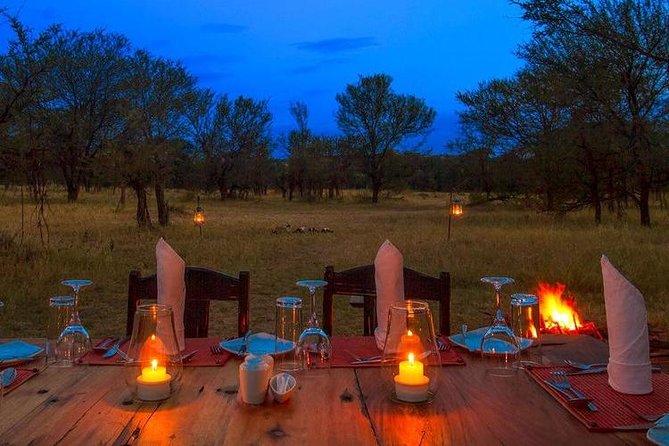 7Day Serengeti Migration (Ndutu), Crater, Hot Springs & City Tour - Day 4: Down into Ngorongoro Crater