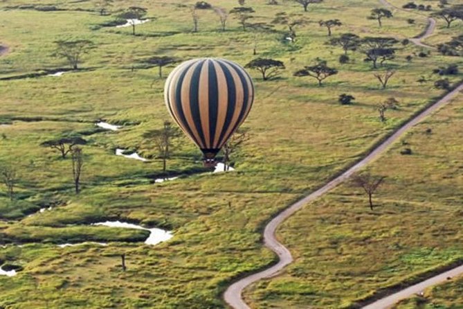7Day Serengeti Migration (Ndutu), Crater, Hot Springs & City Tour - Day 5: Elephants and baobabs in Tarangire