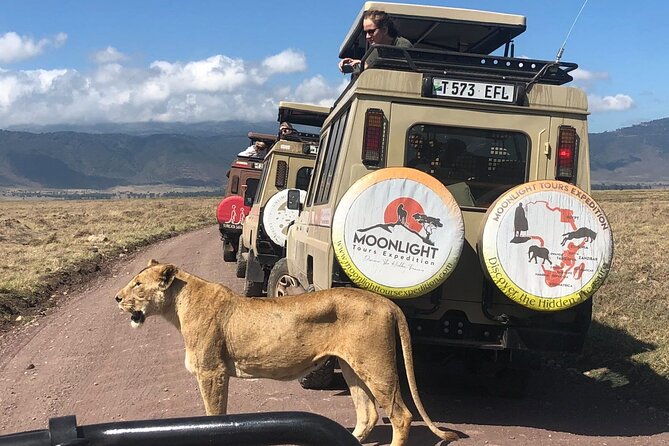 7Day Serengeti Migration (Ndutu), Crater, Hot Springs & City Tour - Seven days, with a clear rhythm