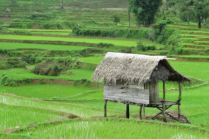 Active Volcano, Rice Field, Hot Spring, Fruit market, Tea Plantation with Lunch - Tangkuban Perahu, the main event