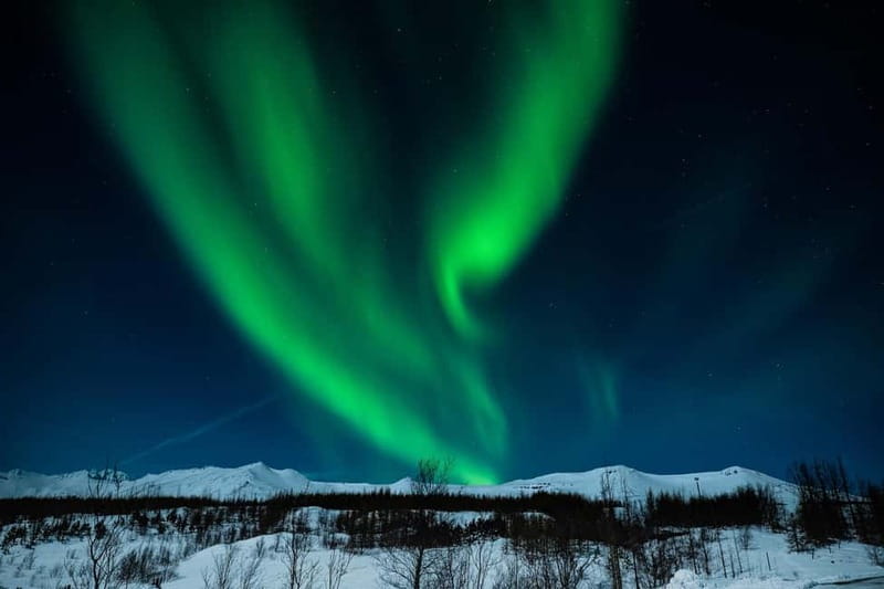 Akureyri: Northern Lights Hunt with Forest Lagoon Entry - Who should book this evening?