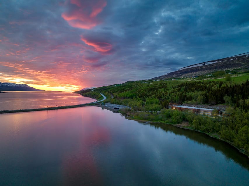 Akureyri: Whale Watching Tour & Forest Lagoon Entrance - Who will get the most from this combination?