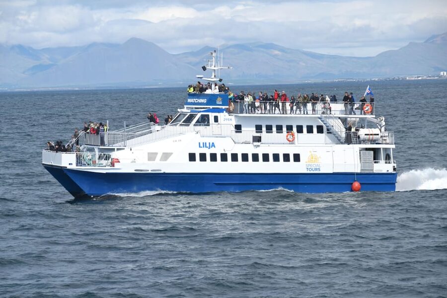 Akureyri: Whale Watching Tour & Forest Lagoon Entrance - Timing, cancellation, and meeting details