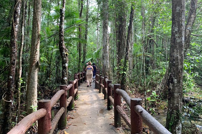 All day Krabi Jungle Tour (Hot Spring Water, Emerald Pool, Tiger Cave Temple) - A full day beyond Krabi’s beaches