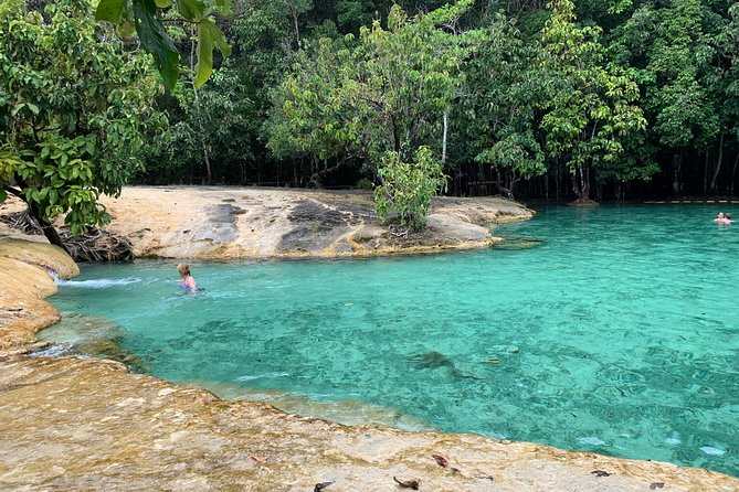 All day Krabi Jungle Tour (Hot Spring Water, Emerald Pool, Tiger Cave Temple) - Guides, vehicles, and the pace of the day