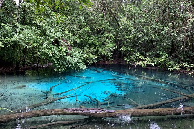 All day Krabi Jungle Tour (Hot Spring Water, Emerald Pool, Tiger Cave Temple) - Who will get the most from this $71.74 tour?