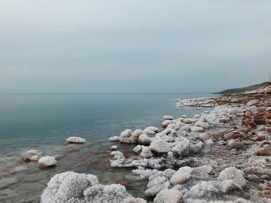 Amman: Ma'in Hot Springs and Dead Sea Day Trip - What $117 buys you