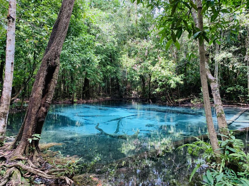 Ao Nang: Hot Spring, Emerald Pool & Tiger Cave Temple Tour - Is the Ao Nang jungle tour worth booking?