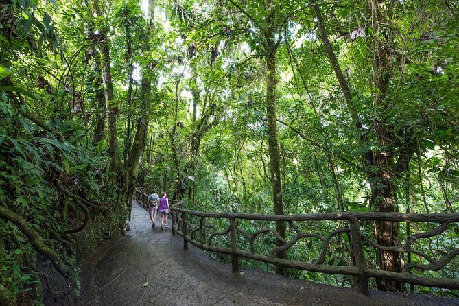 Arenal Hanging Bridges, Guided Walk, Hot Springs Optional - Walking through Arenal’s 600-acre forest reserve