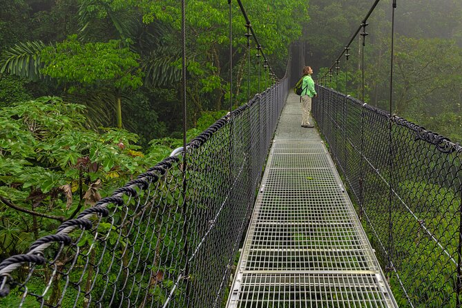Arenal Hanging Bridges, Guided Walk, Hot Springs Optional - A trail designed for families and wheelchairs