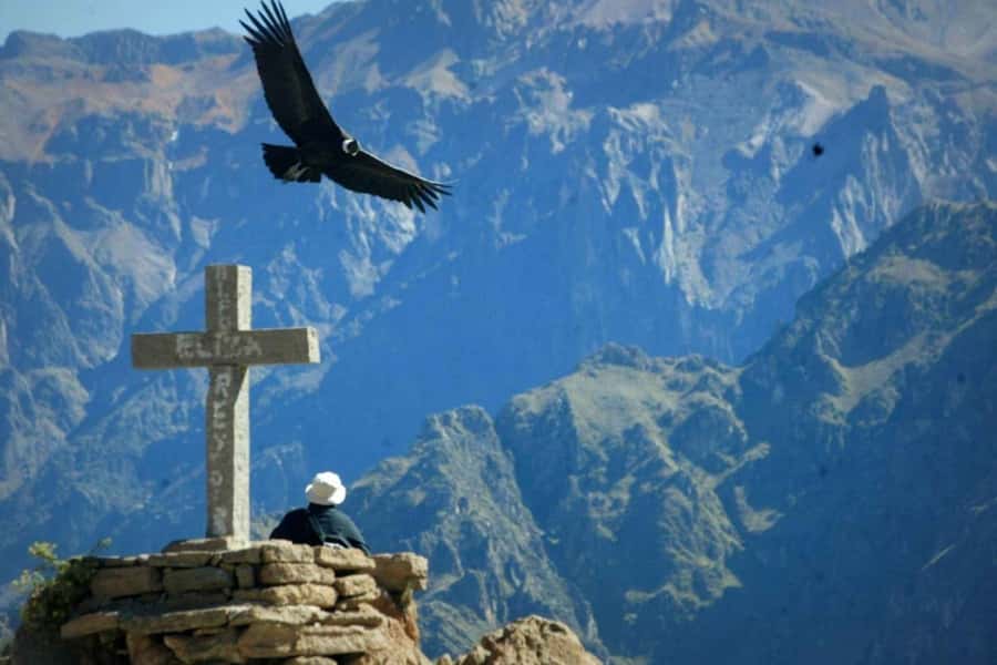 Arequipa: 1-Day Colca Canyon + Thermal Baths Tour - Why Cruz del Condor is the heart of the day