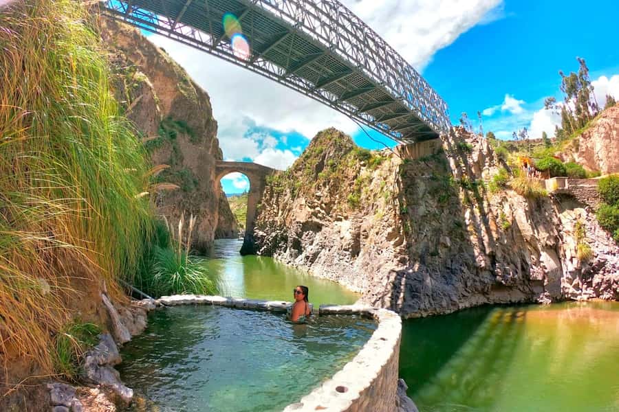 Arequipa: 1-Day Colca Canyon + Thermal Baths Tour - Camelids in Salinas and Aguada Blanca