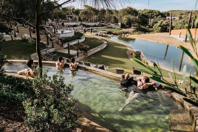 Arthur Seat Eagle Cable Car and Mornington Peninsula Hot Springs - Key points to know before booking