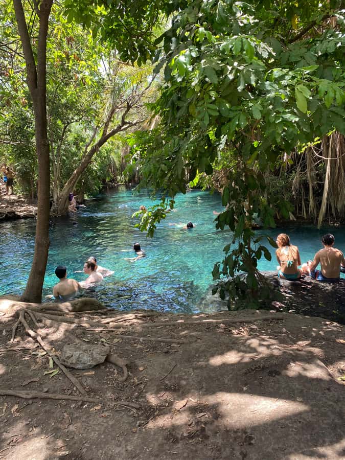 Arusha: Kikuletwa Hot Springs Day Trip with Transport - Key points to know before you go
