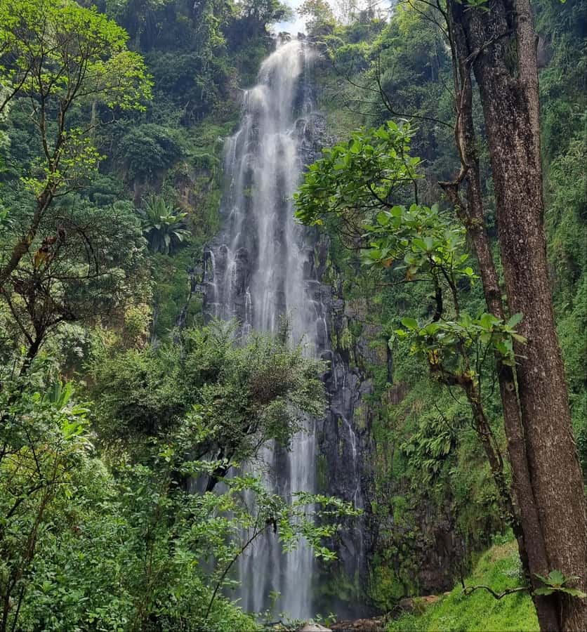 Arusha: Materuni Waterfalls, Hot Springs and/or Coffee Tour - Key points at a glance