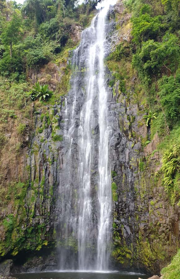 Arusha: Materuni Waterfalls, Hot Springs and/or Coffee Tour - The coffee lesson is genuinely hands-on