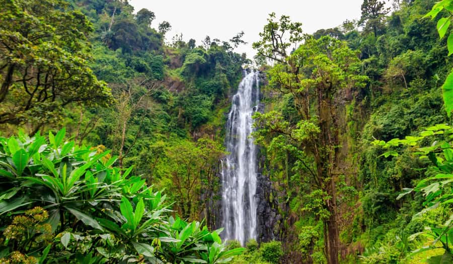 Arusha: Materuni Waterfalls, Hot Springs and/or Coffee Tour - Tanzanian lunch brings the culture to the table