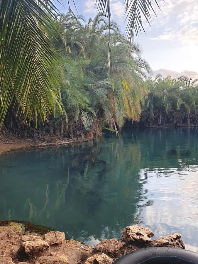 Arusha: Materuni Waterfalls, Hot Springs and/or Coffee Tour - What the $53 price covers