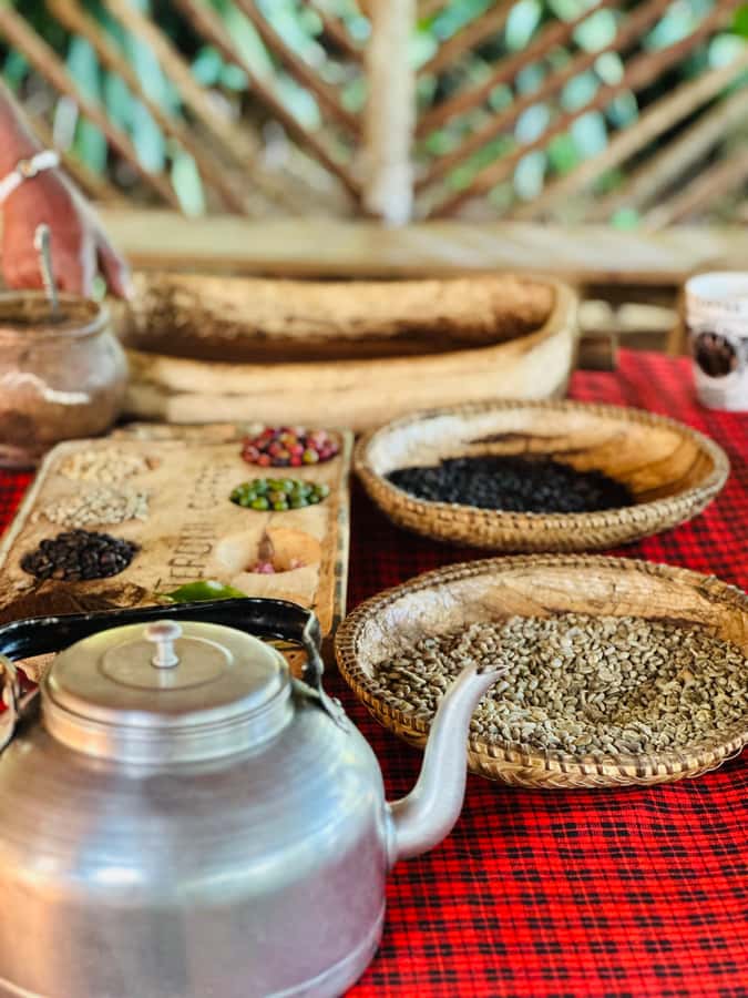 Arusha: Materuni Waterfalls, Hot Springs and/or Coffee Tour - Who will enjoy this Materuni and Chemka combination