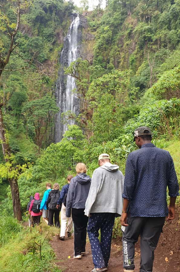 Arusha: Materuni Waterfalls, Hot Springs and/or Coffee Tour - A village walk with more than a photo stop