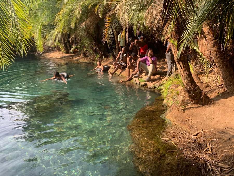 Arusha/Moshi Hot Springs Tour (Chemka) by Kingstone Asilia - Key points to know before booking