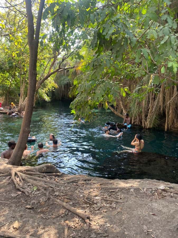 Arusha/Moshi Hot Springs Tour (Chemka) by Kingstone Asilia - Why the relaxed timing matters