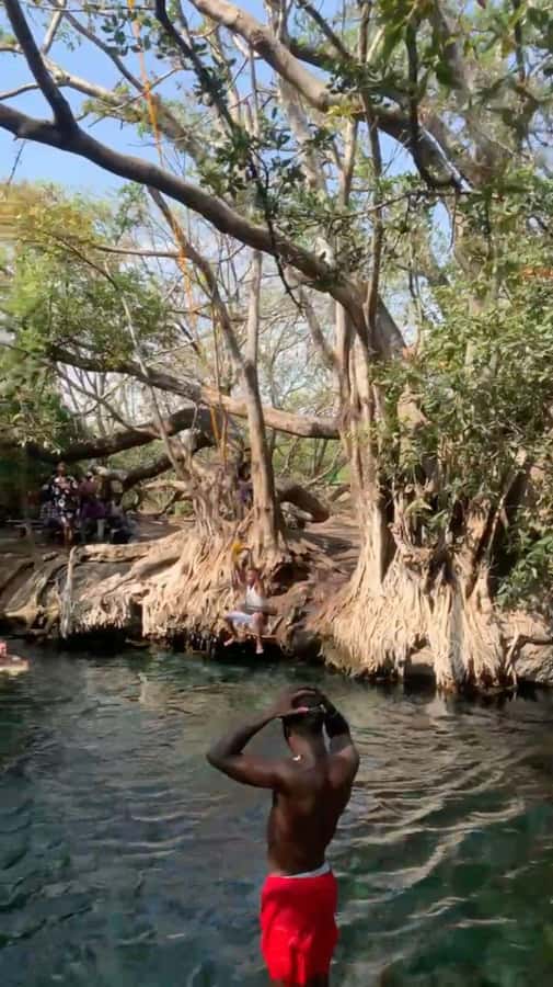 Arusha/Moshi Hot Springs Tour (Chemka) by Kingstone Asilia - The optional home-cooked lunch