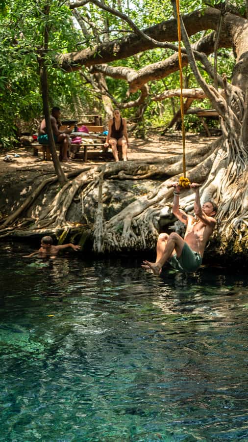 Arusha or Moshi : Hot Spring, Waterfall & Coffee Farm Tour - Who will enjoy this tour most