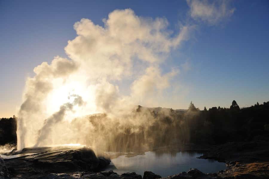 Auckland: Full-Day Trip to Rotorua Geothermal Valley - The long road from Auckland to Rotorua