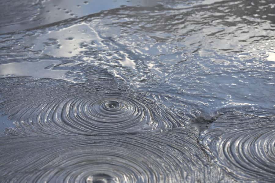 Auckland: Full-Day Trip to Rotorua Geothermal Valley - Pohutu Geyser and Rotorua’s hot ground