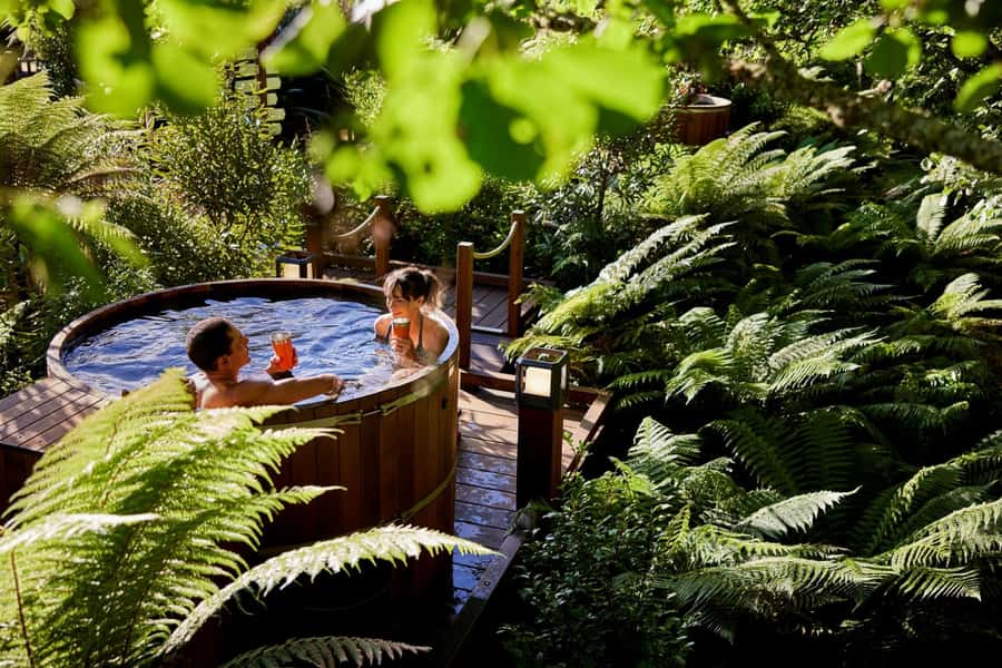 Auckland: Rotorua Highlights w Redwoods Treewalk & Hot Tubs - Auckland to Rotorua through the Waikato