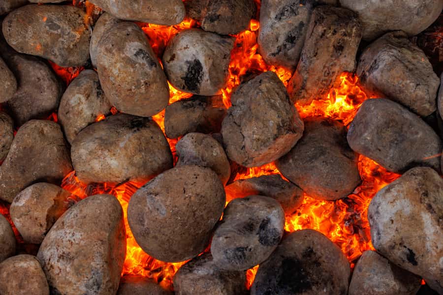 Auckland: Rotorua Māori Cultural & Geothermal Tour & Lunch - Key points to know before booking