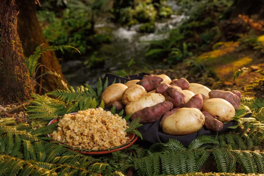 Auckland: Rotorua Māori Cultural & Geothermal Tour & Lunch - Who should book this day trip?