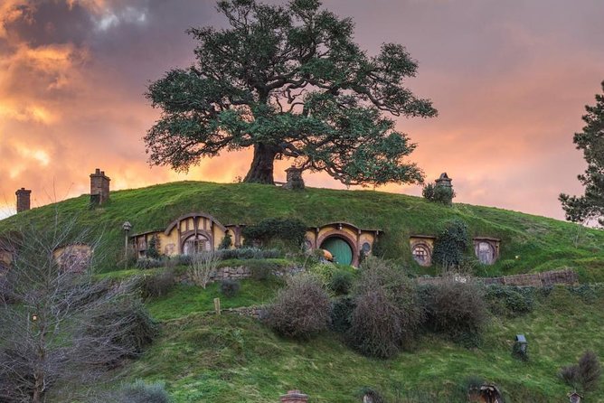 Auckland to Hobbiton Movie Set and Rotorua's Geothermal Valley - Who should book this experience