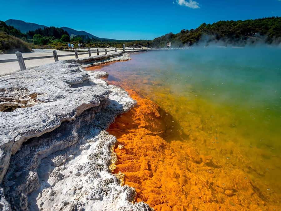 Auckland: Wai-O-Tapu, Maori Haka & Hot Springs Rotorua Tour - Key points to know before booking