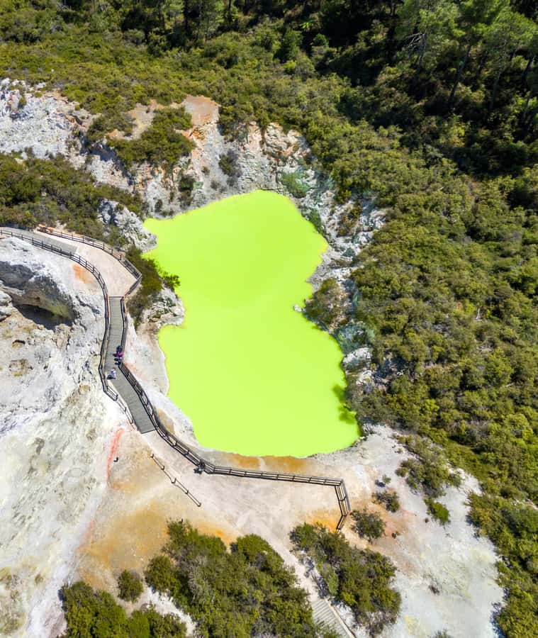Auckland: Wai-O-Tapu, Maori Haka & Hot Springs Rotorua Tour - Is $233 good value for a 12-hour day?