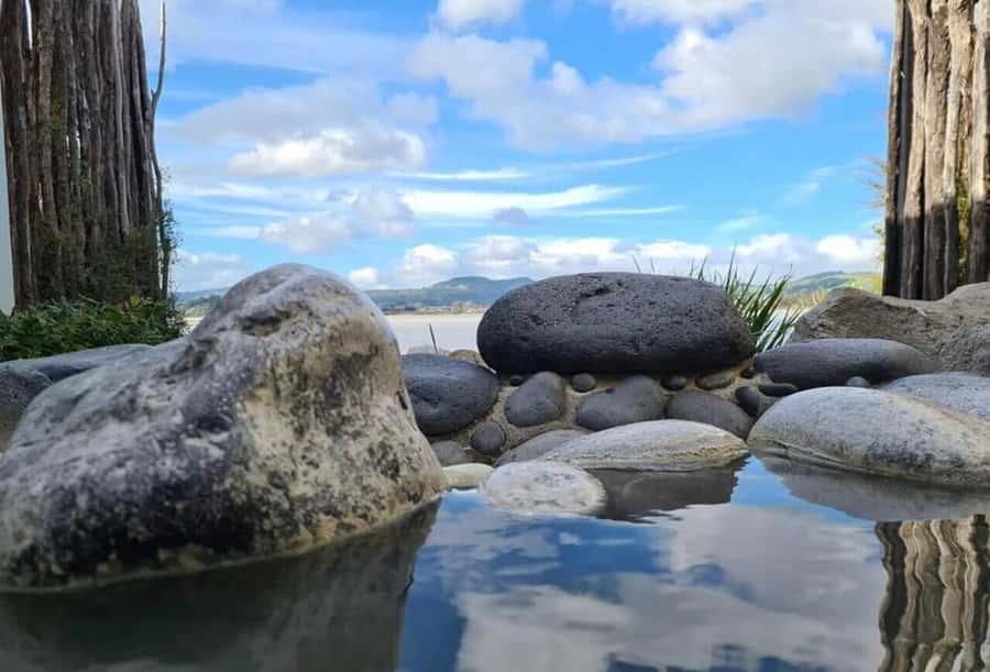 Auckland: Wai-O-Tapu, Maori Haka & Hot Springs Rotorua Tour - Who should book this Rotorua day tour?