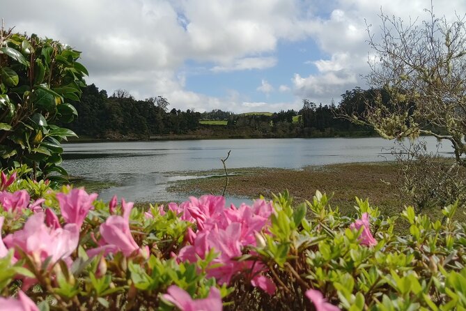 Azores: 1 Day Private Tour Furnas Volcanic Activity & Hot Springs - Furnas Lake and the secret of the famous stew