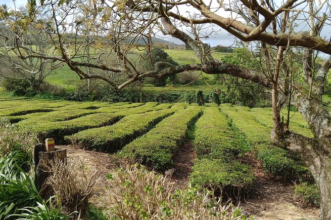 Azores: 1 Day Private Tour Furnas Volcanic Activity & Hot Springs - Planning the Furnas lunch