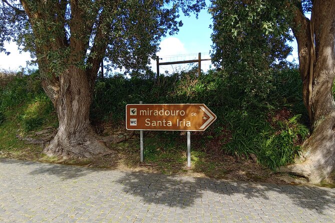 Azores: 1 Day Private Tour Furnas Volcanic Activity & Hot Springs - Gorreana Tea Factory and a taste of São Miguel