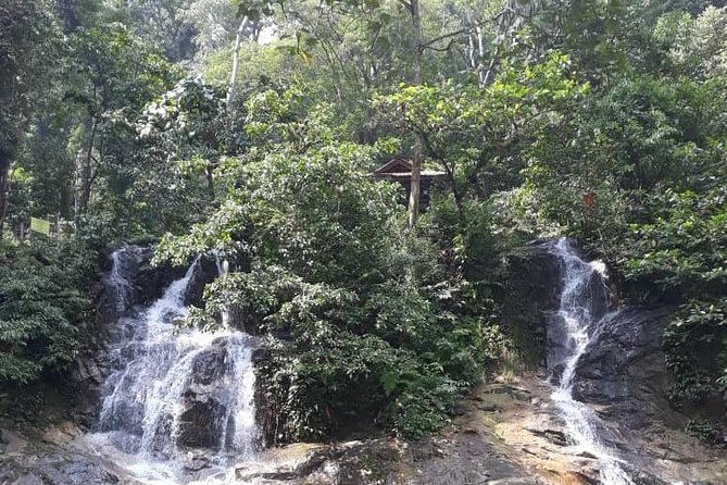 Back to Nature Tour - Templer's Park, Hot Spring & Batu Caves - Three Kuala Lumpur escapes in five hours