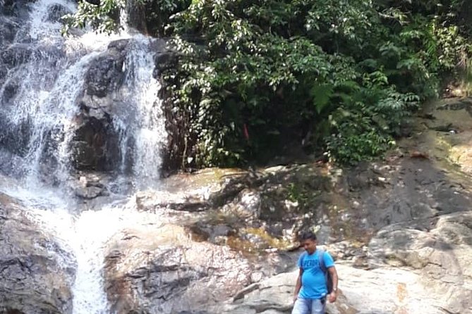 Back to Nature Tour - Templer's Park, Hot Spring & Batu Caves - Who should book this half-day route?